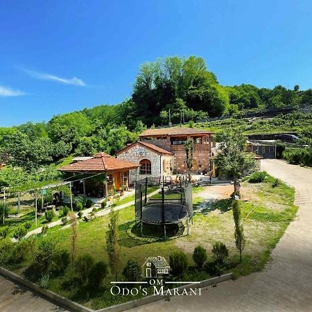 Odo'S Guest House Martvili Luaran gambar
